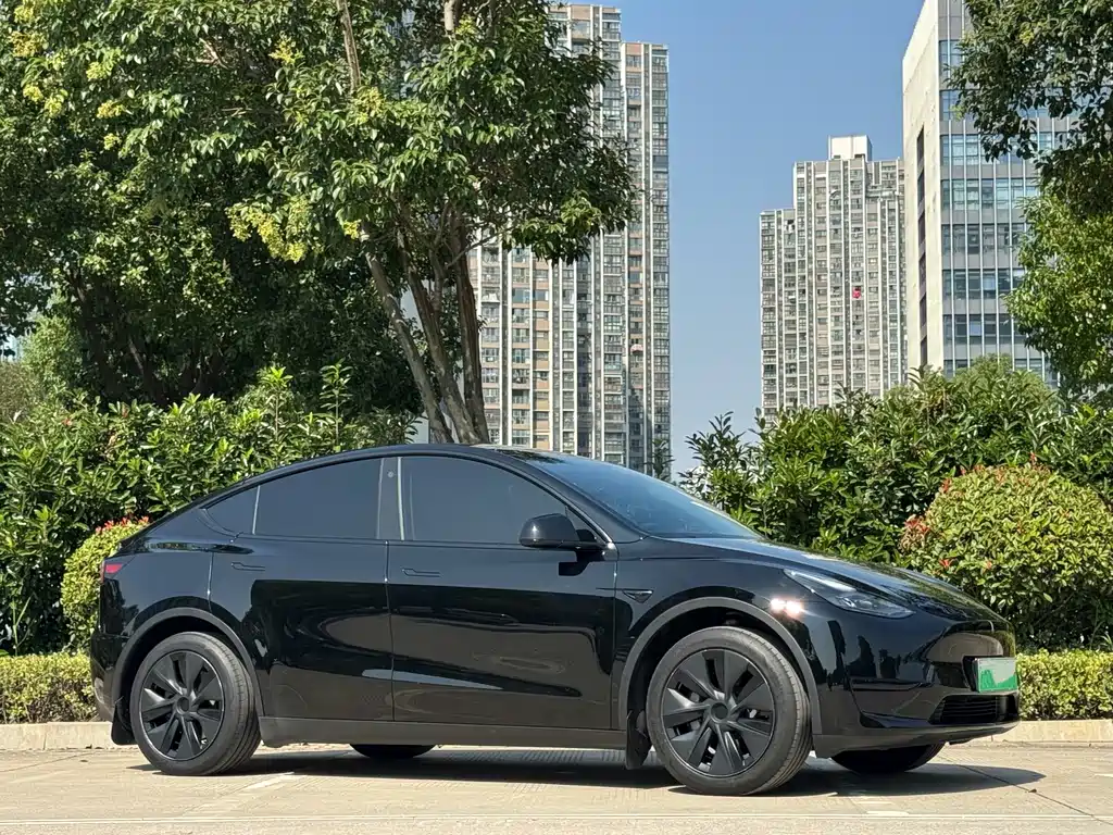 Tesla Model Y — миниатюра 16