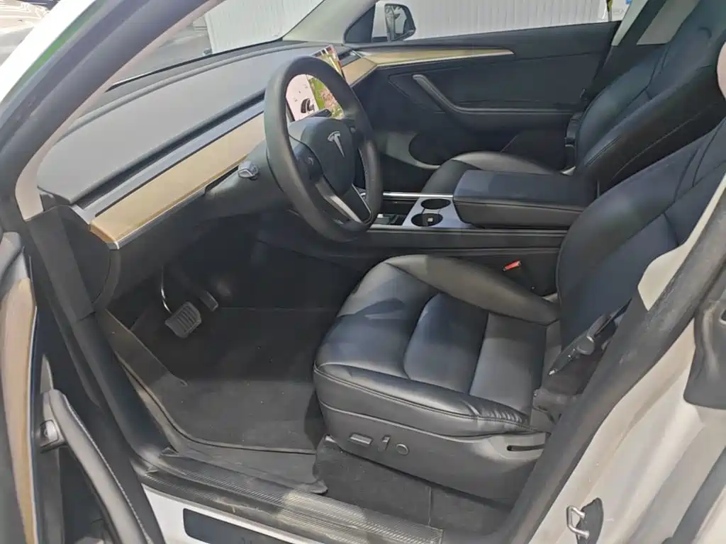 Tesla Model Y — миниатюра 15