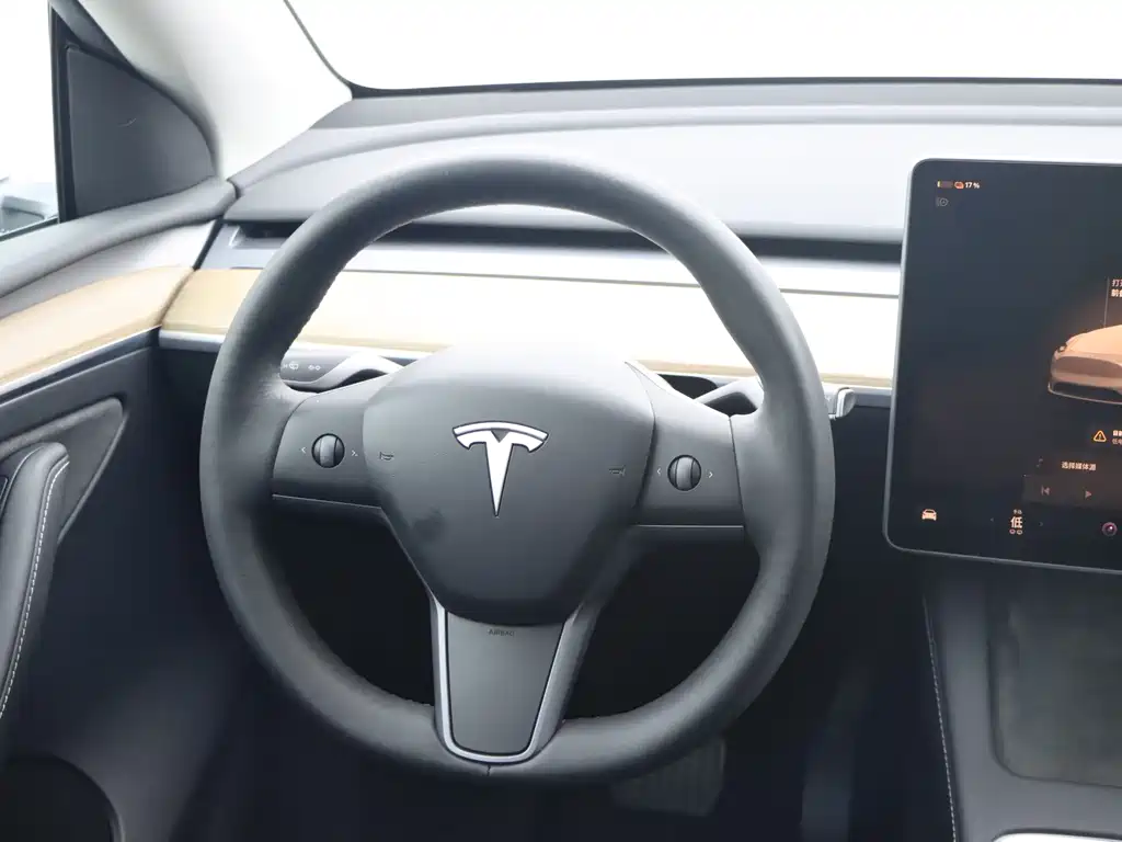Tesla Model Y — миниатюра 16