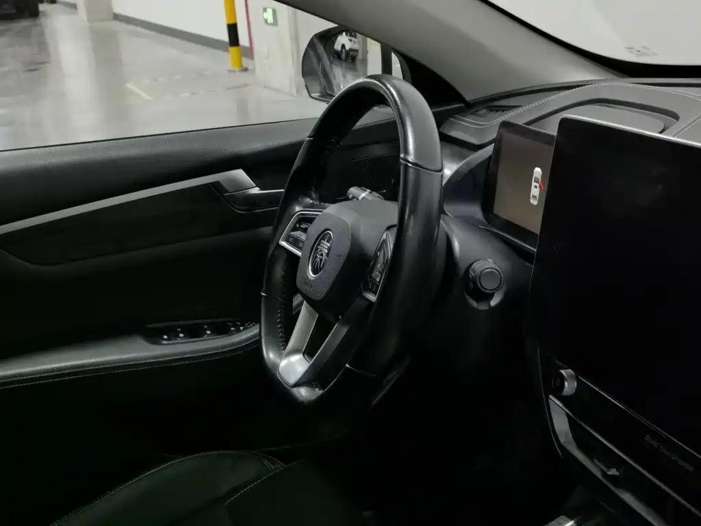 BYD Qin Pro NEV — миниатюра 22