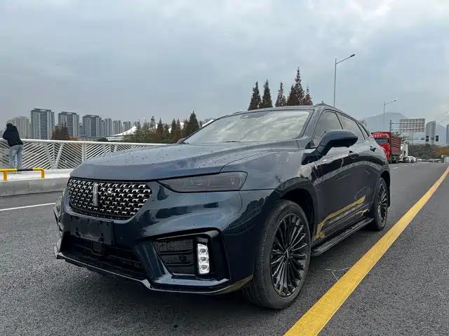 WEI PAI WEI BRAND VV7 NEW ENERGY 2020