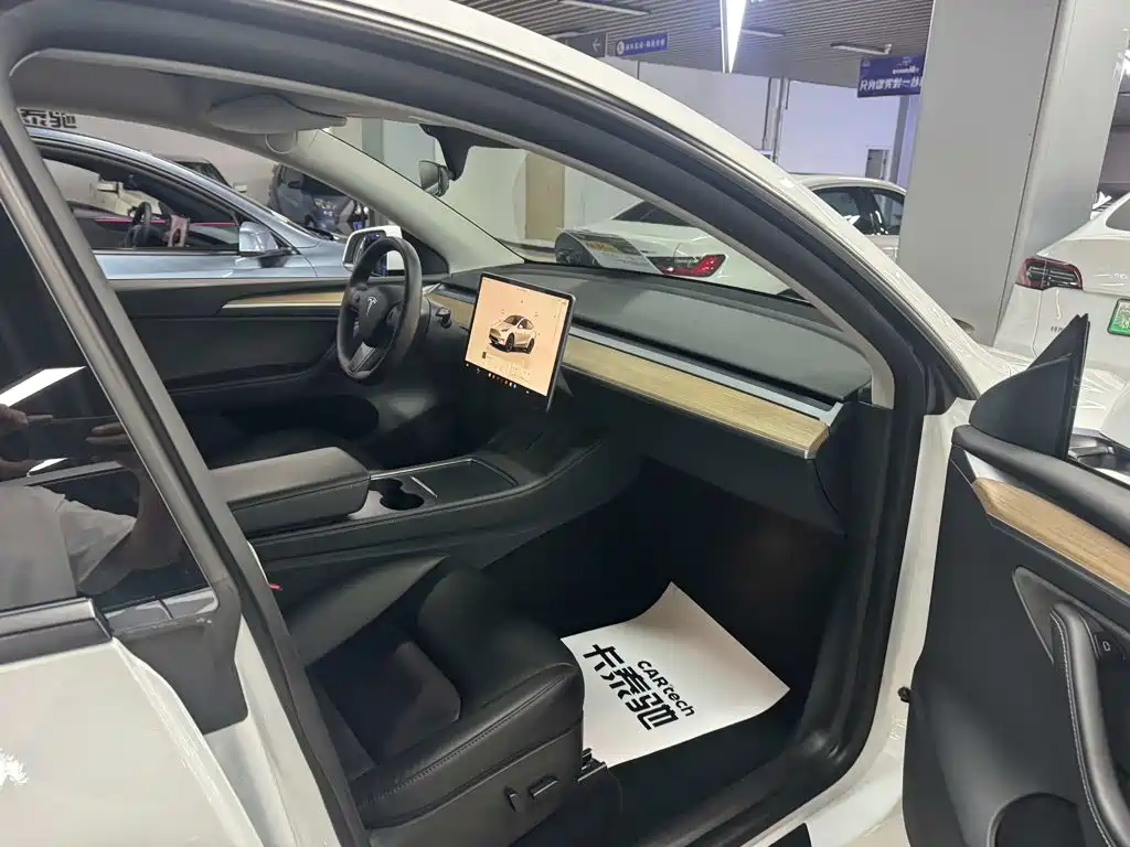 Tesla Model Y — миниатюра 10