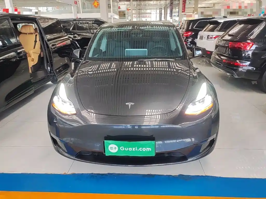 Tesla Model Y — миниатюра 3