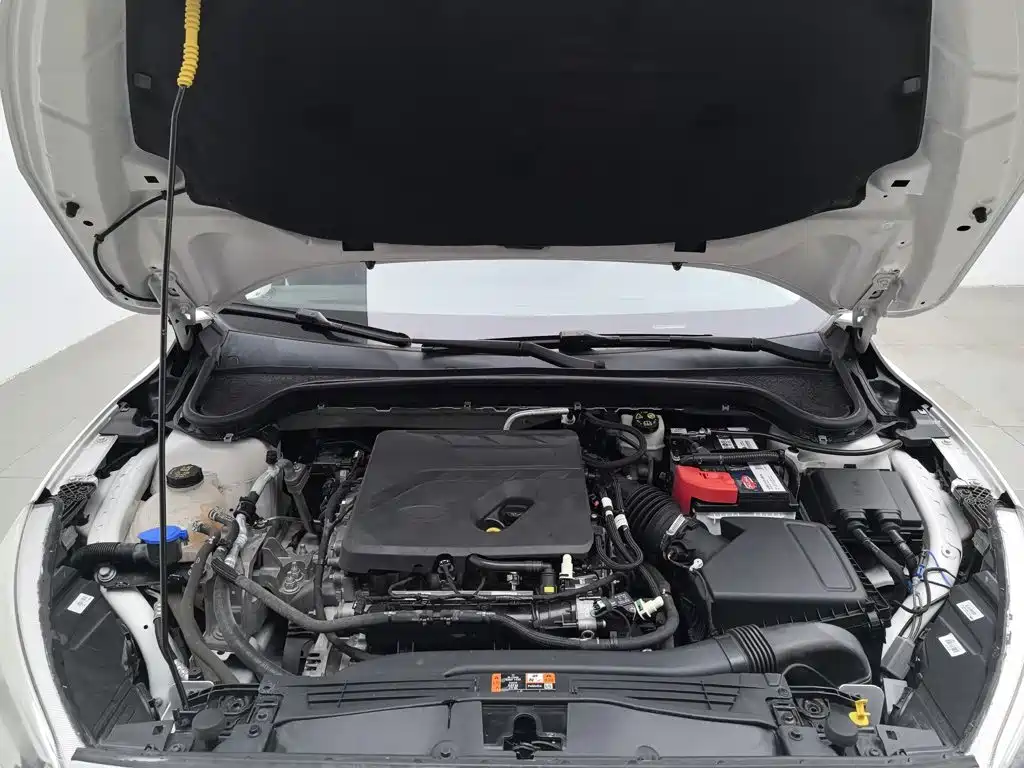 Ford Focus — миниатюра 6