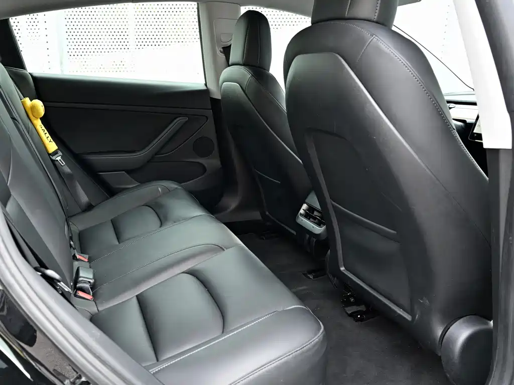 Tesla Model 3 — миниатюра 11