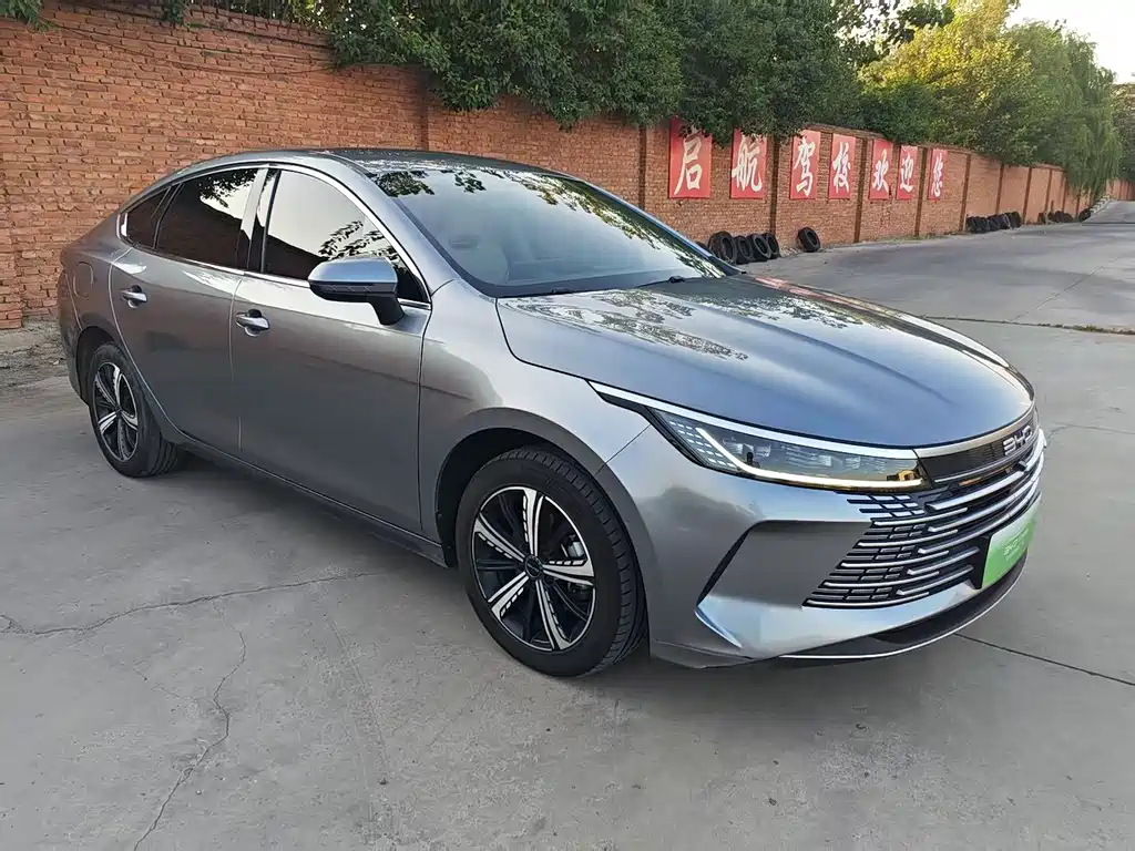 BYD Destroyer 05 — миниатюра 6