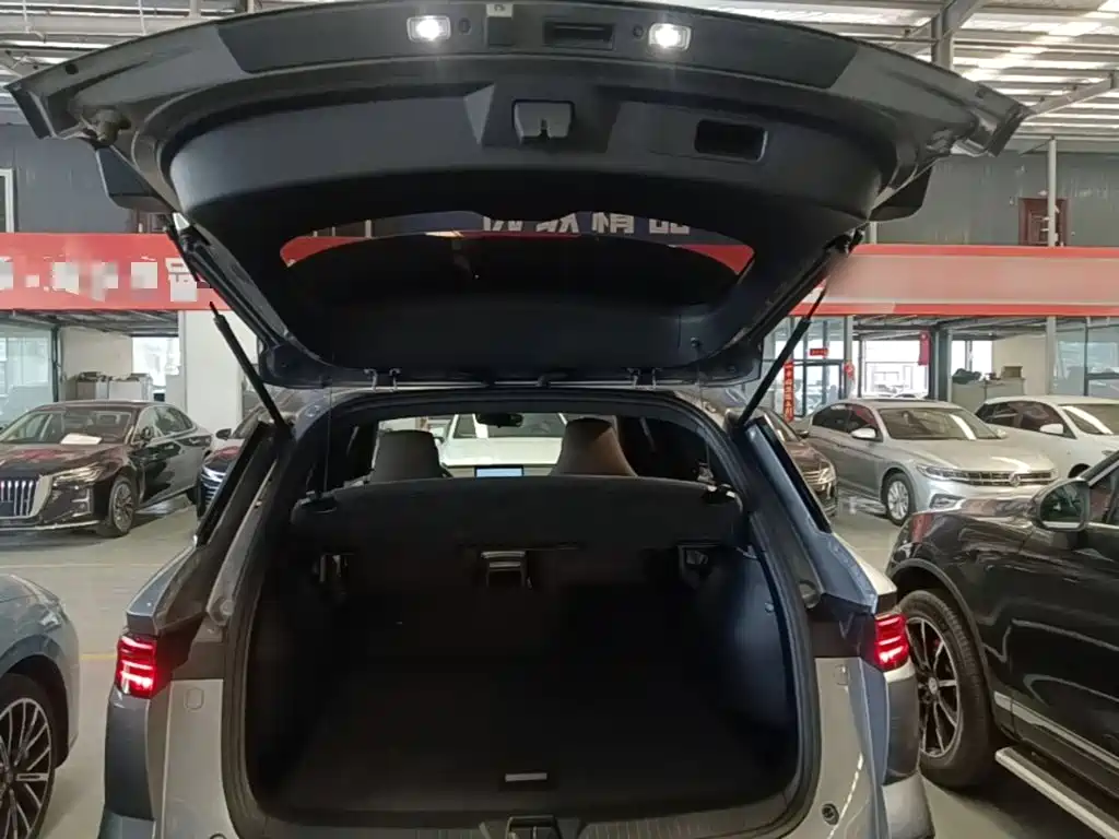 BYD Pro New Energy — миниатюра 19