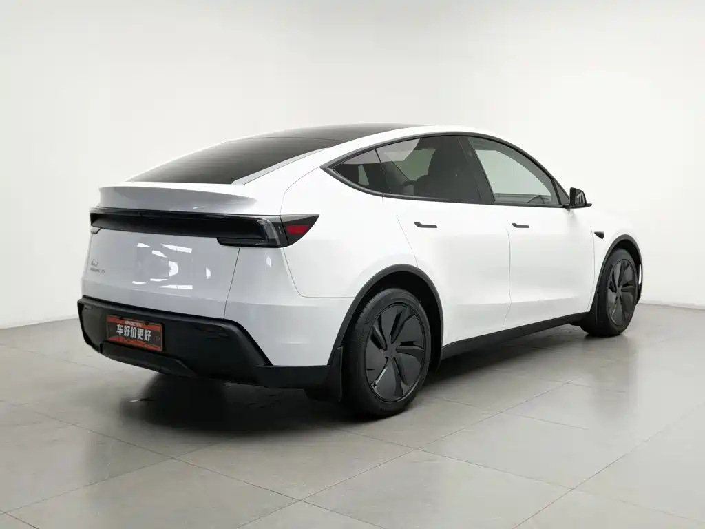 Tesla Model Y — миниатюра 2