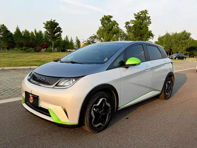 2022 BYD Dolphin