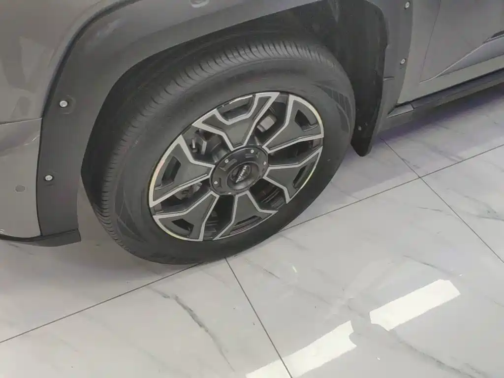 Haval Big Dog PLUS New Energy — миниатюра 23