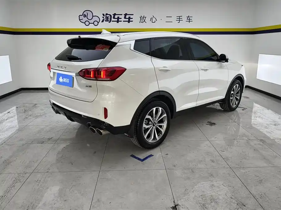 WEI PAI WEI BRAND VV6