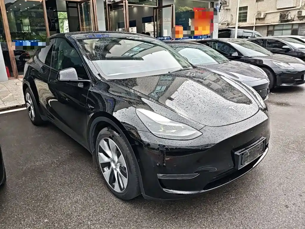 Tesla Model Y — миниатюра 4