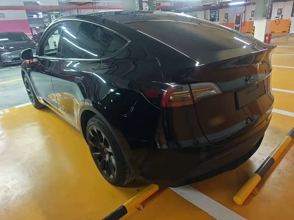 Tesla Model Y — миниатюра 5