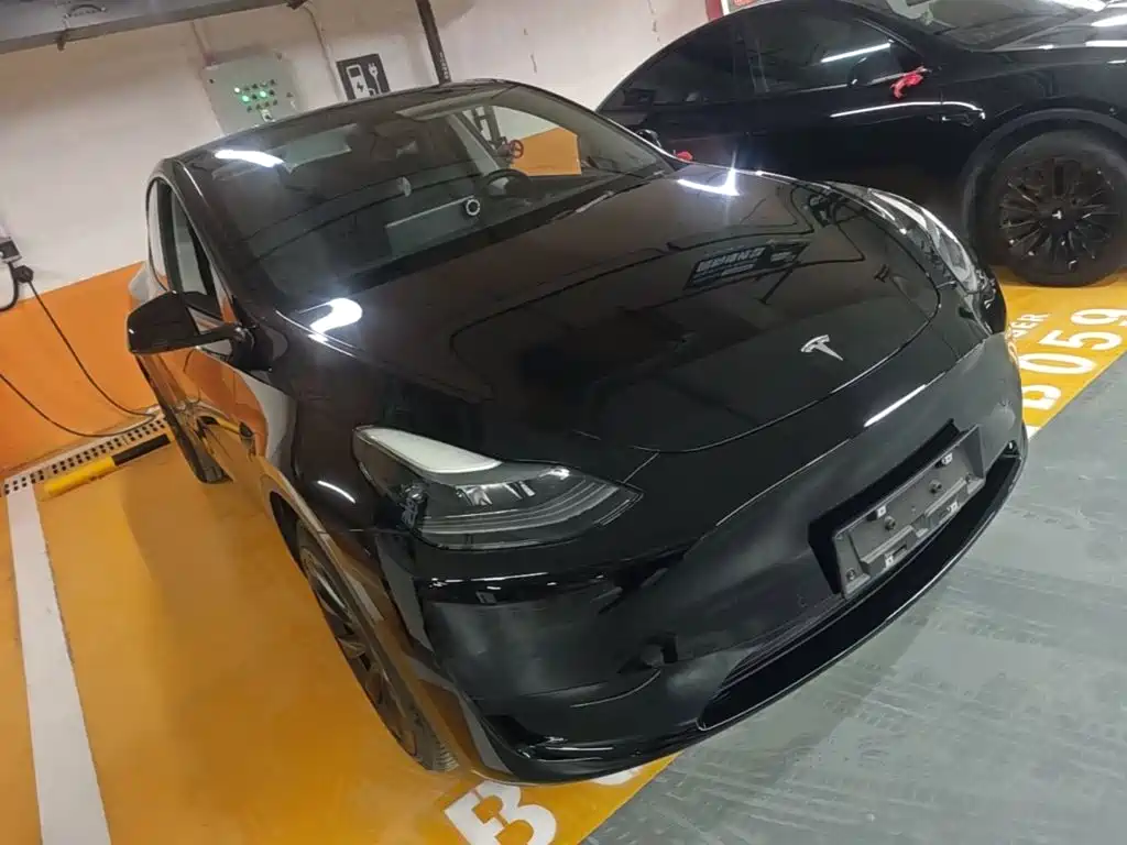 Tesla Model Y — миниатюра 4