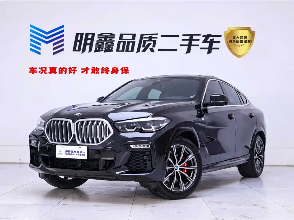 BMW X6 2021