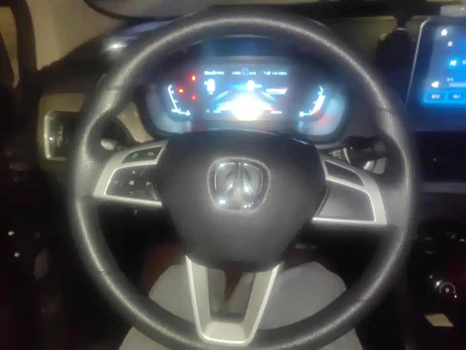 BAW Weiwang M50F — миниатюра 15