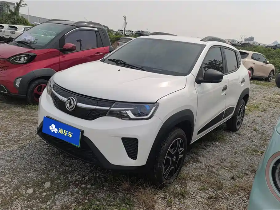 Dongfeng EX1 2022 PRO Enjoy