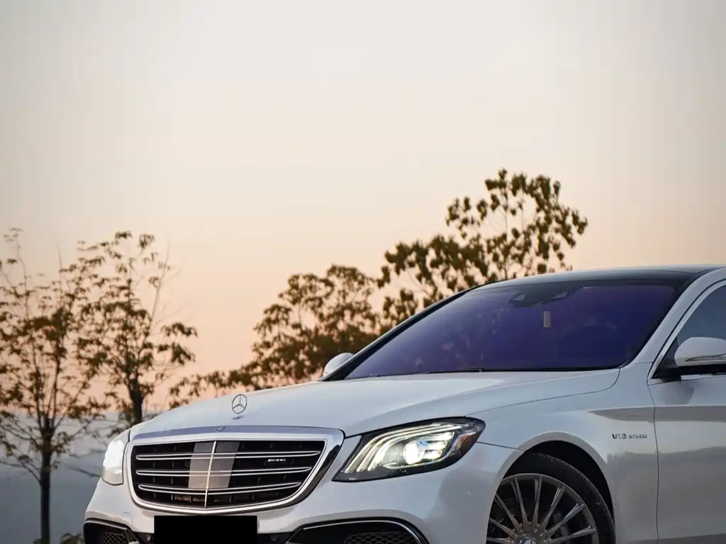 Mercedes-Benz S-Class A MG S AMG 2014 AMG S 65 L