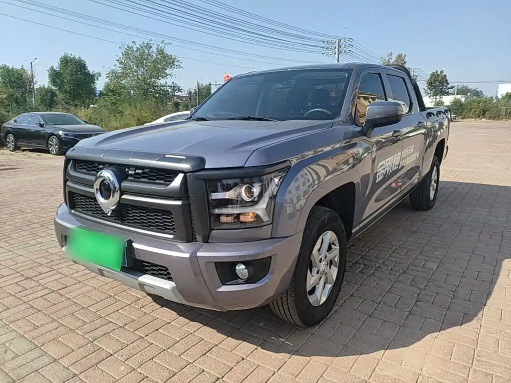 Great Wall King Kong Pao — миниатюра 2