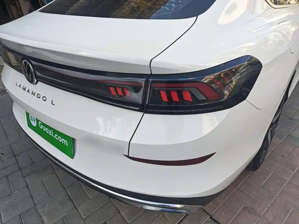 Volkswagen Lamando — миниатюра 8