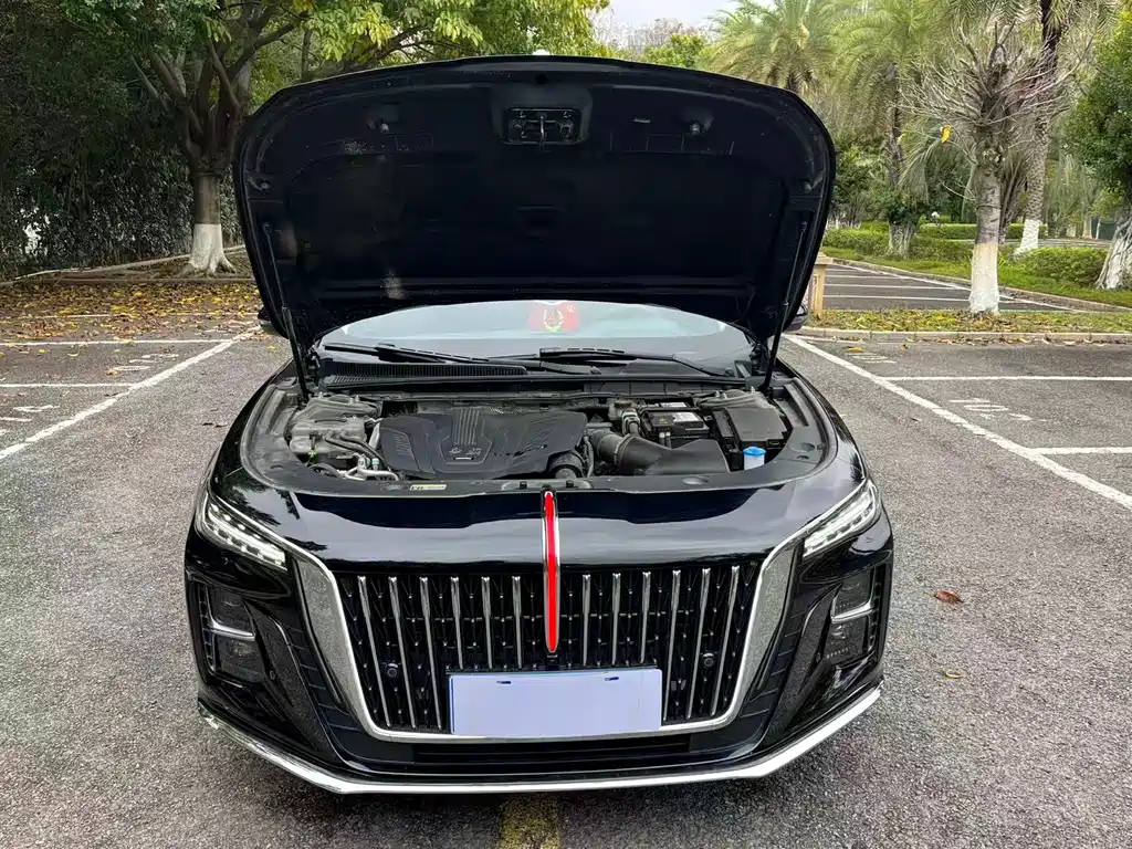 Hongqi HONGQI H5