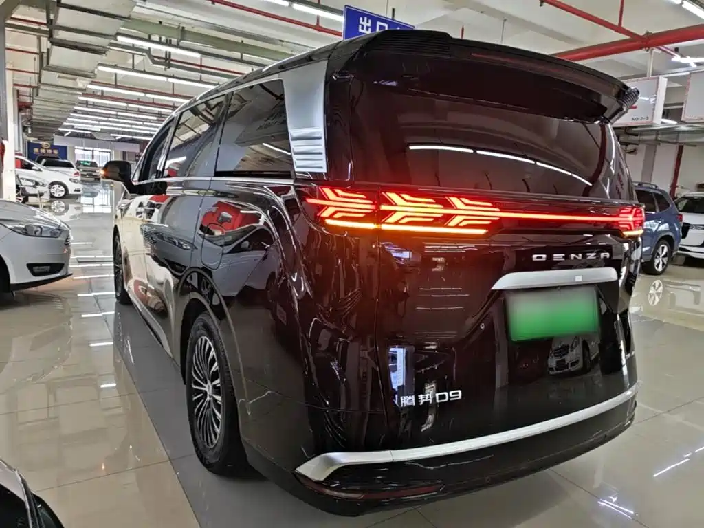 Denza Denza D9 — миниатюра 5