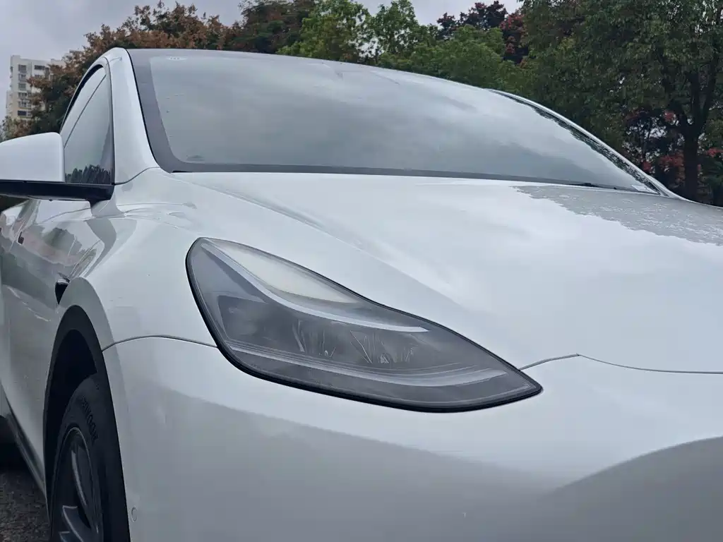 Tesla Model Y — миниатюра 21