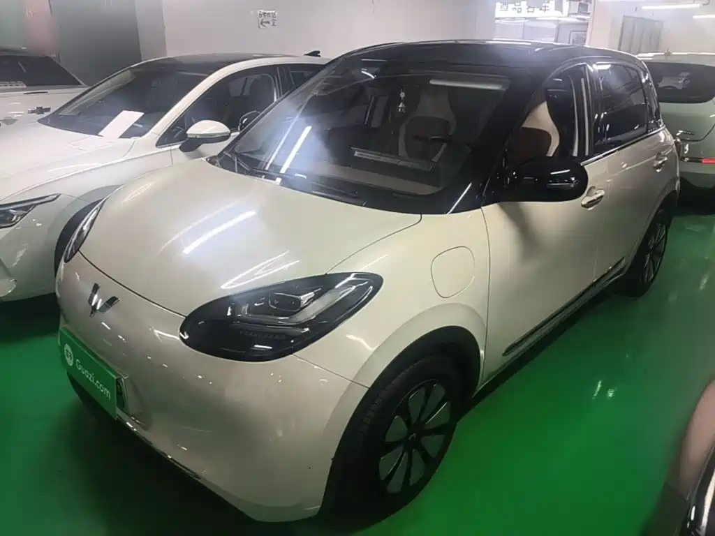 Wuling Binguo