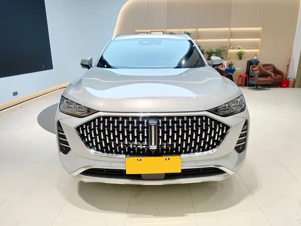 WEI PAI WEI BRAND MOCHA