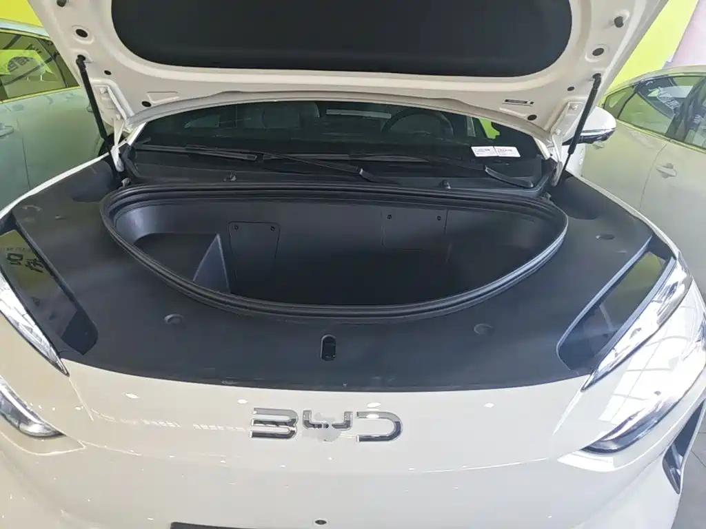 BYD Sealion 06 — миниатюра 20