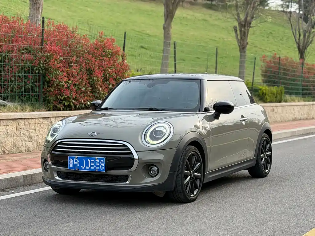 Mini Mini 2020