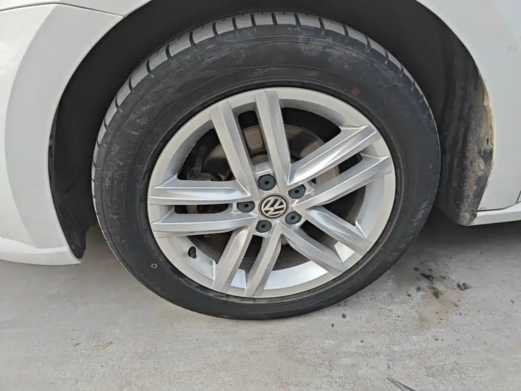 Volkswagen Gran Lavida — миниатюра 23