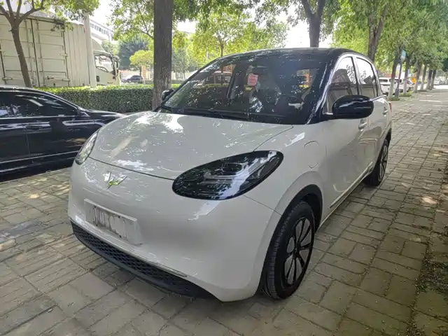 2024 Wuling Motors Binguo