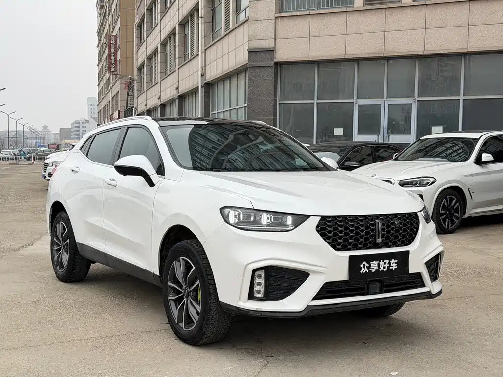 WEI PAI WEI BRAND VV5