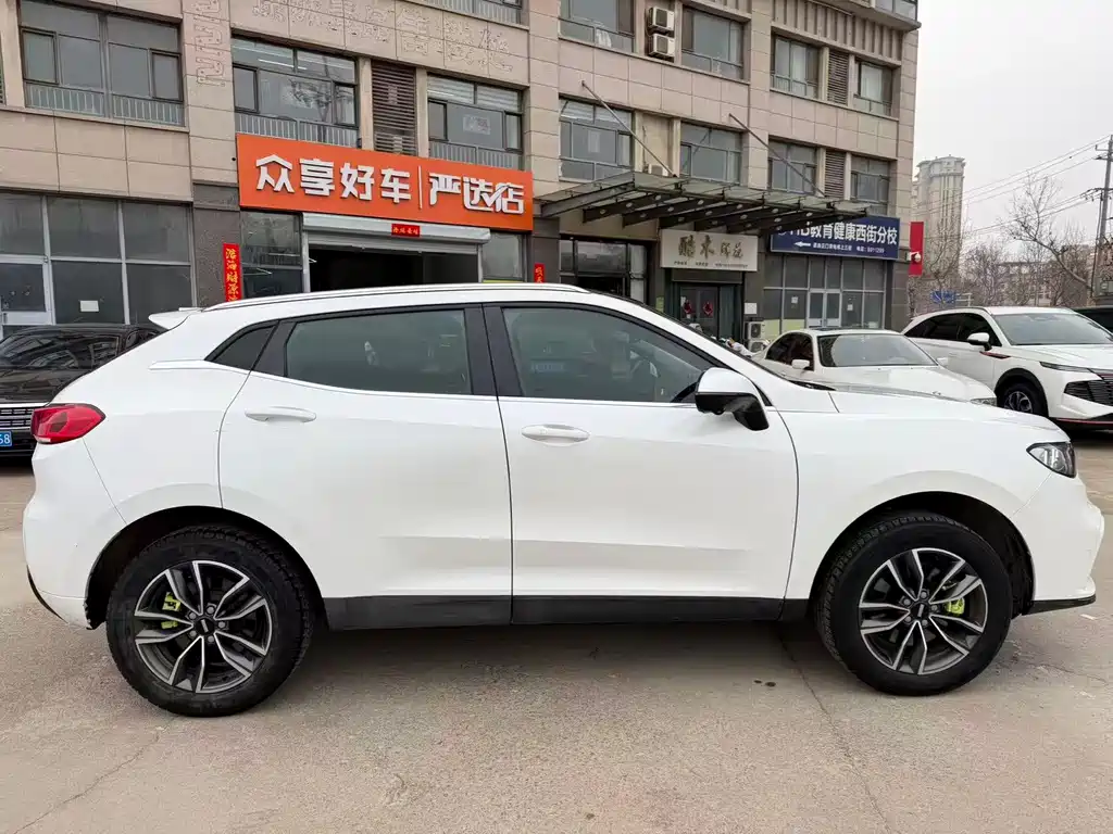 WEI PAI WEI BRAND VV5