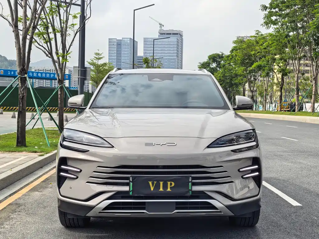 BYD PLUS New Energy — миниатюра 2