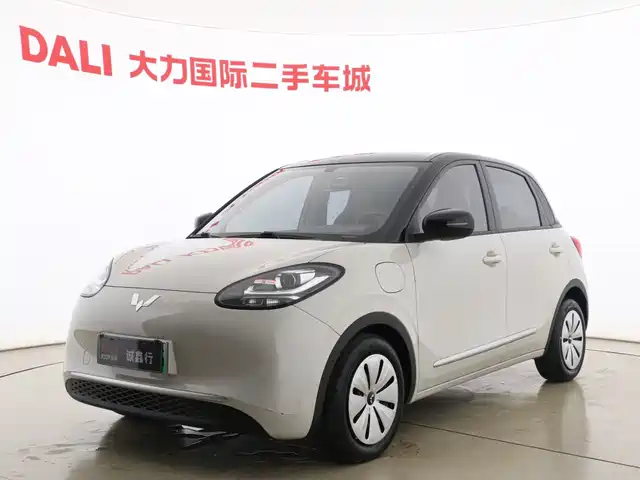 WULING WULING BINGGUO 2024