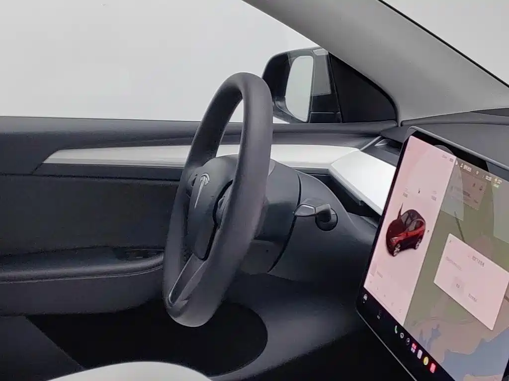 Tesla Model Y — миниатюра 22