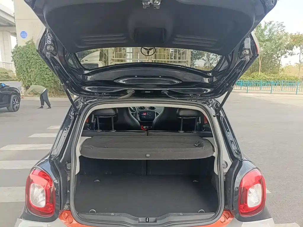 smart Smart Forfour — миниатюра 19