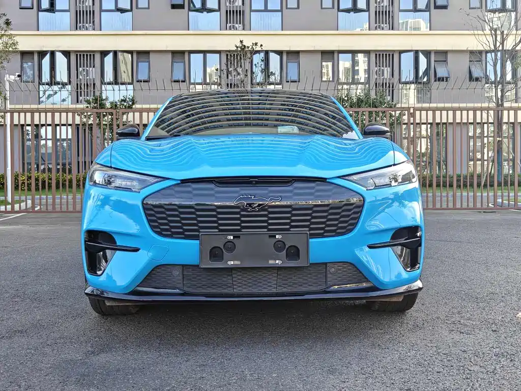 Ford Mustang Mach-E — миниатюра 2