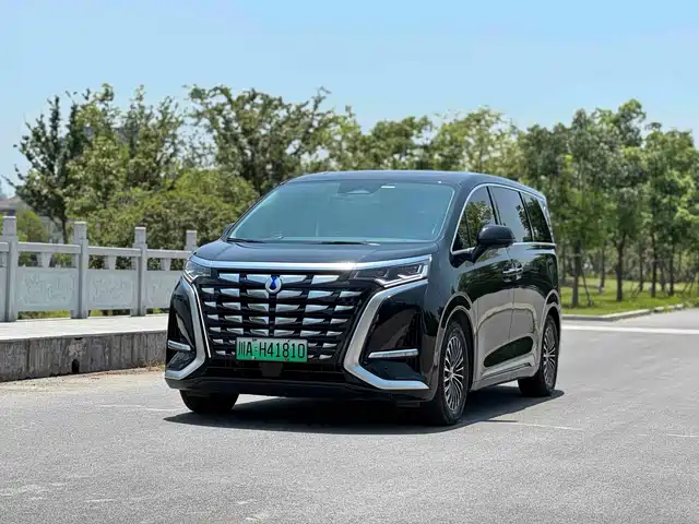 2024 Denza D9