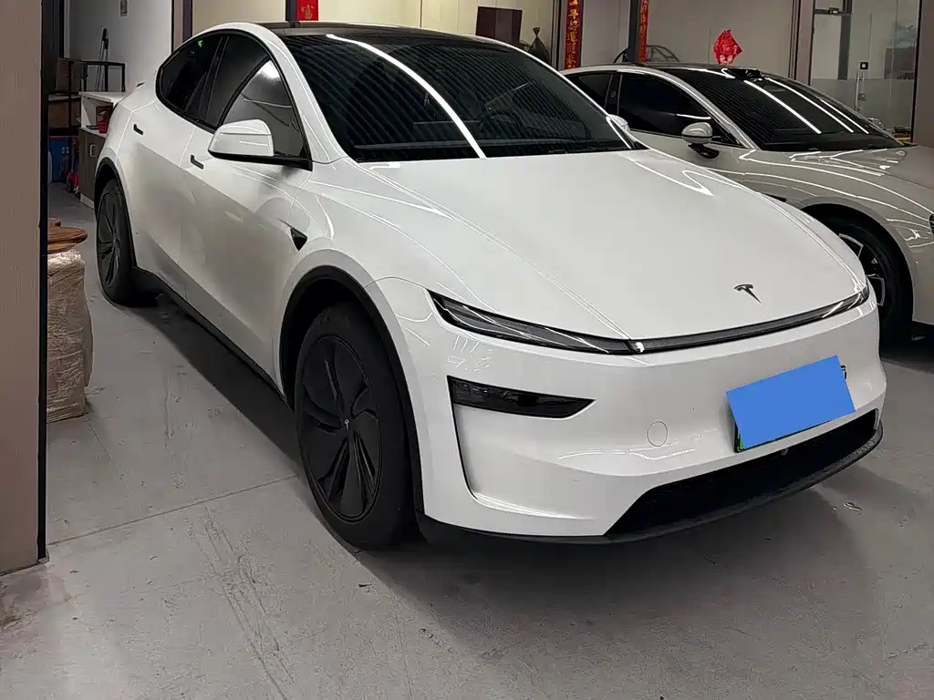 Tesla Model Y — миниатюра 3