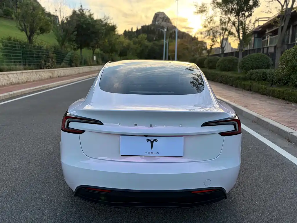 Tesla Model 3 — миниатюра 6