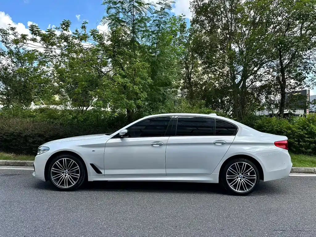 BMW 5 SERIES