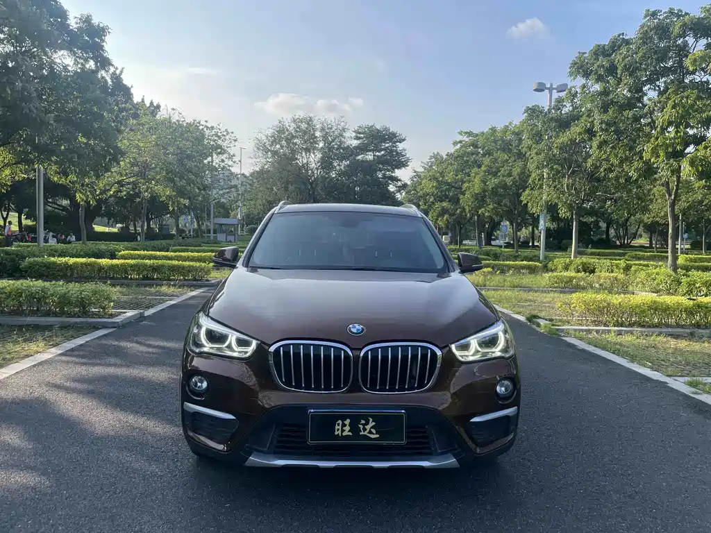 BMW X1 — миниатюра 2