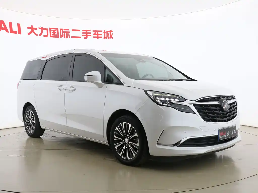 Buick GL8 — миниатюра 3