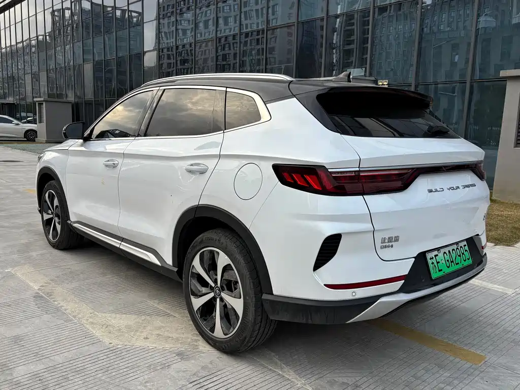 BYD SONGJIANG NEW ENERGY