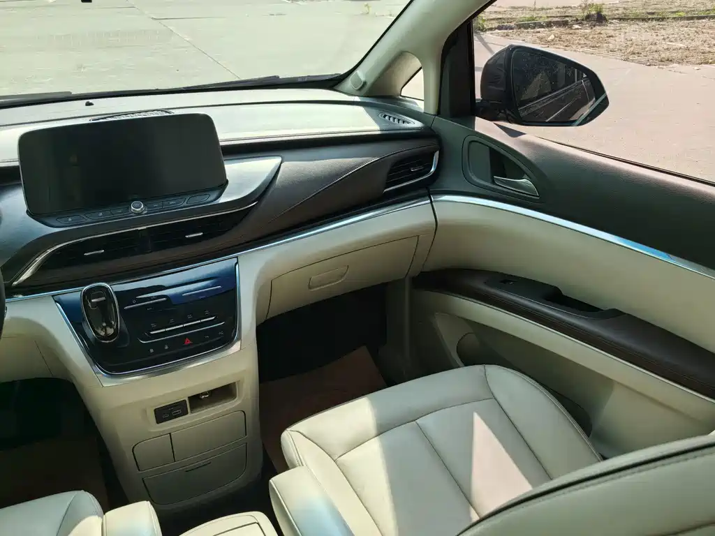 Buick GL8 — миниатюра 21