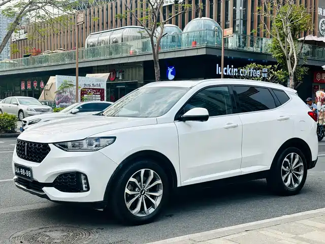 2019 Wey VV6
