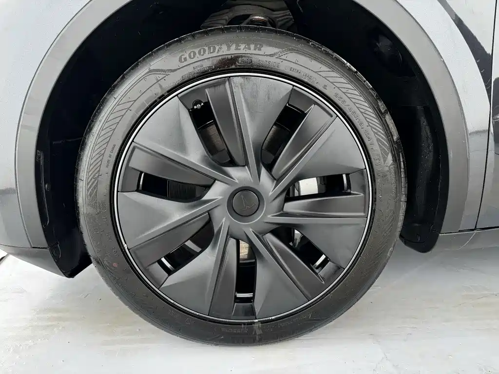 Tesla Model Y — миниатюра 11